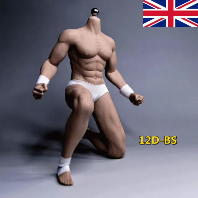 1/6TH SUPER-FLEXIBLE MUSCLE Male Stainless Steel Body for Phicen Toy Normal  £75.08 - PicClick UK