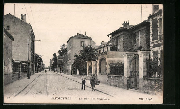 CPA Alfortville, La Rue des Camelias