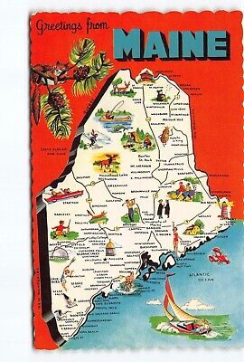 Greetings Maine Map Pine Tree State ME Chrome Postcard Vtg Unposted