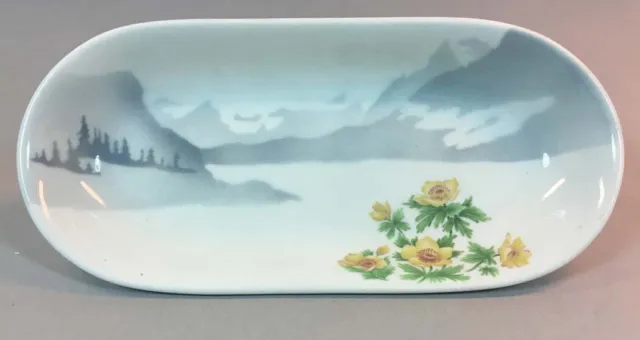 Great Northern Ry Mountains & Flowers Celery Tray