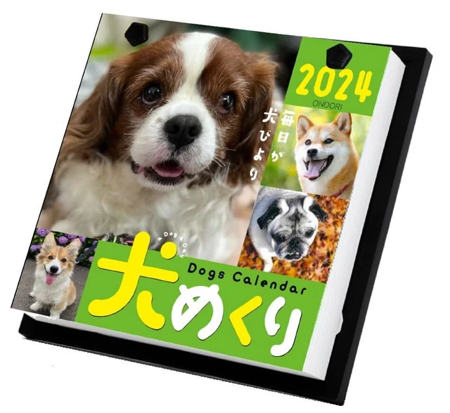 DOG PAGEADAY CALENDAR 2024 CKD2401 CO2 47.76 PicClick
