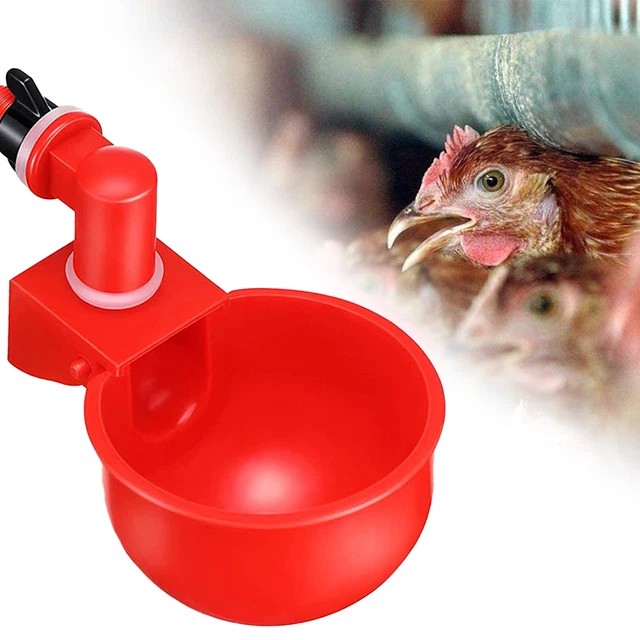Chicken Food Dispenser Wide Application Fadeless Universal Rounded Edge Chicken