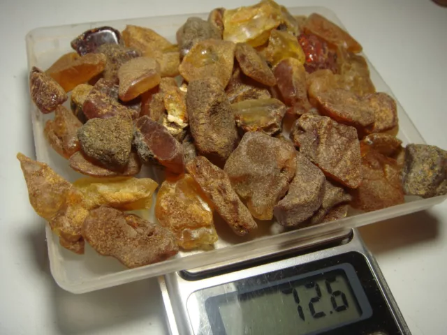 AMBER / raw baltic stones bernstein natural bursztyn baltycki genuine 琥珀 (e666