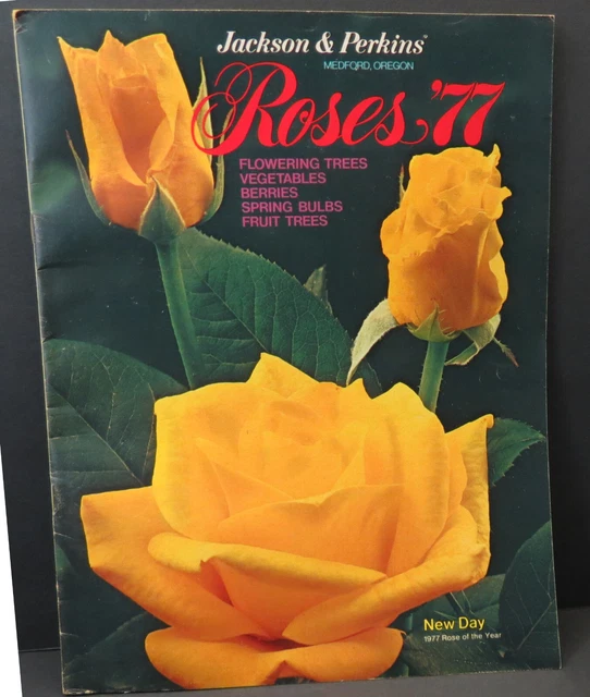 Buffer Couch Surfers “White” XL Catalogs, Books & Magazines - PicClick