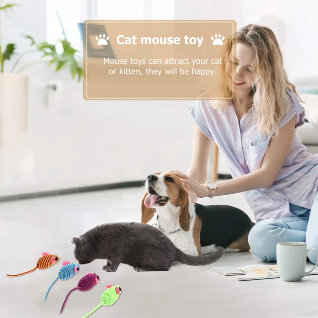 12 Pcs Exercise Cat Toy Cat Mice Toys Indoor Cats Catnip Toy Rc Toy Double Line 7