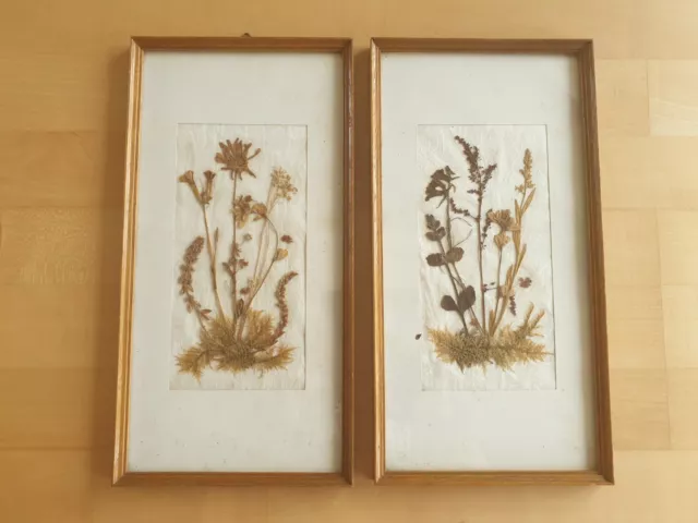 2 Stück DDR Blumenbild Wandbild Trockenblumen Ostalgie Vintage