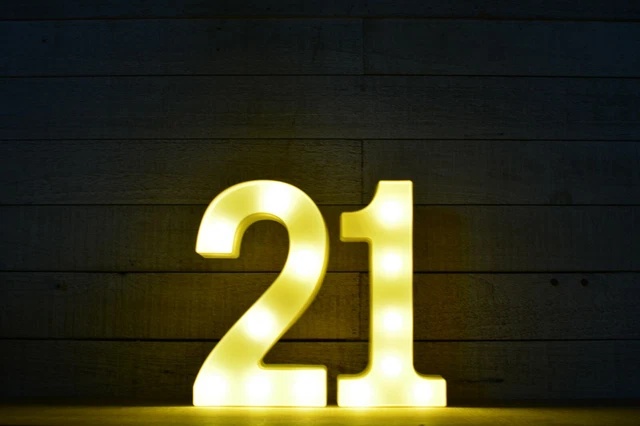 LED Light Up Alphabet Letter Standing Hanging Party Birthday Sign - 21