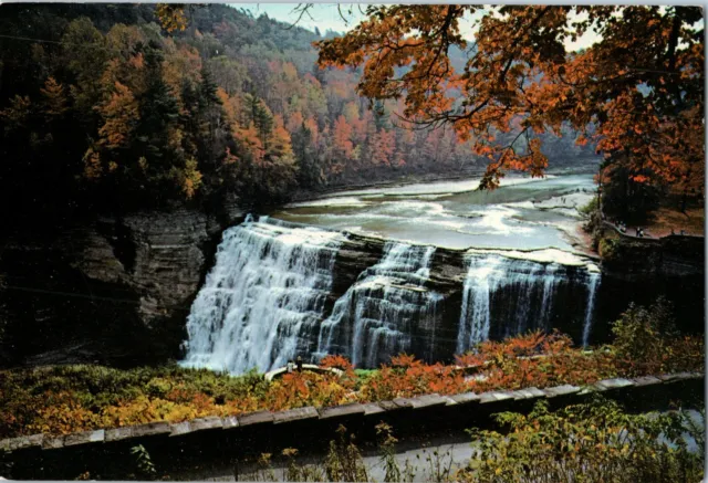 Genesee River Gorge Letchworth State Park Castile, New York Postcard