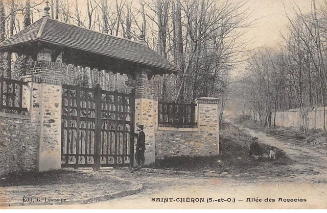91 - SAINT CHERON - SAN45441 - Allée des Acacias