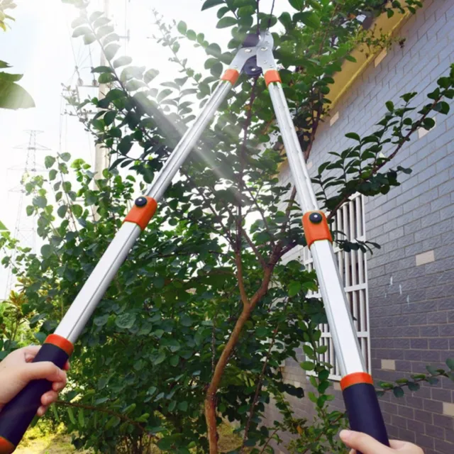 Podadora telescópica de ramas de yunque de 28"" a 40"" para extender la rama de árbol jardinería