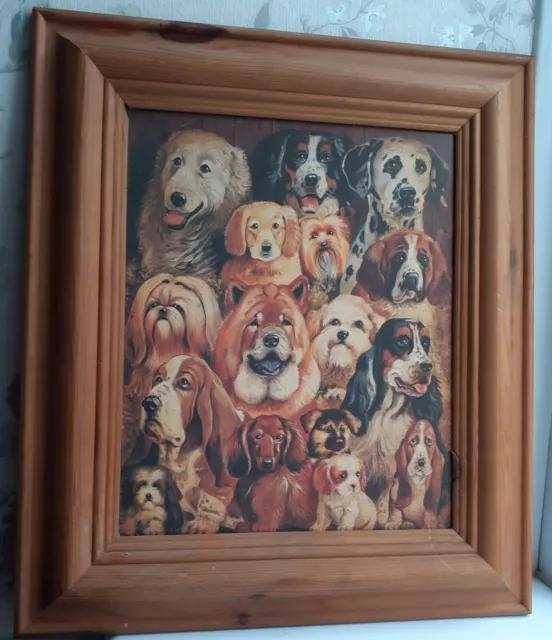 Various Breeds Of Dog Illustration Wood Framed Wall Art  Paper Print On Board