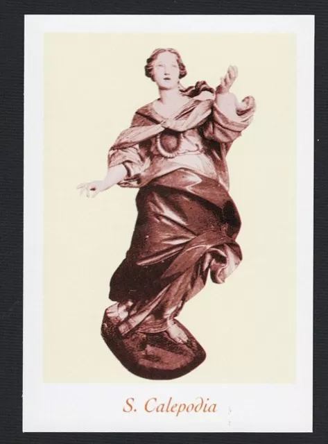 Santino Holy Card Image Pieuse  Heiligenbild  Santa Calepodia