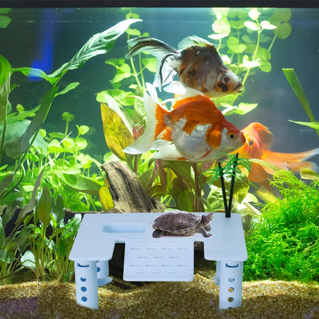 Rampa Solare Per Tartarughe - Galleggiante, In Erba Sintetica, Per Acquari E Habitat - Foto 6