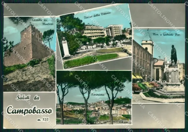 Campobasso Città Saluti da Foto FG cartolina ZKM7507