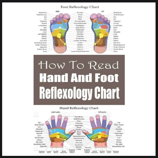 HOW TO READ Hand and Foot Reflexology Chart a Complete Guide for