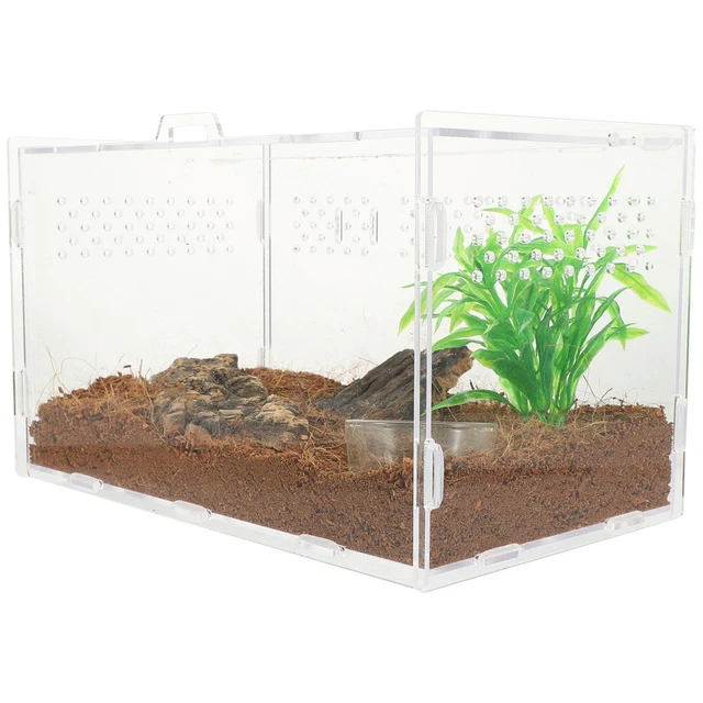 Scatole Allevatore Tarantola Habitat Terrario Trasparente Tartaruga Recinto Tartaruga Animale