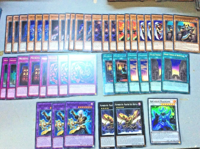 best pokemon card sleeves Amazon.com: Yu-Gi-Oh! - Gravekeeper's Priestess - SS01-ENB07 - Common - 1st  Edition - Speed Duel Decks