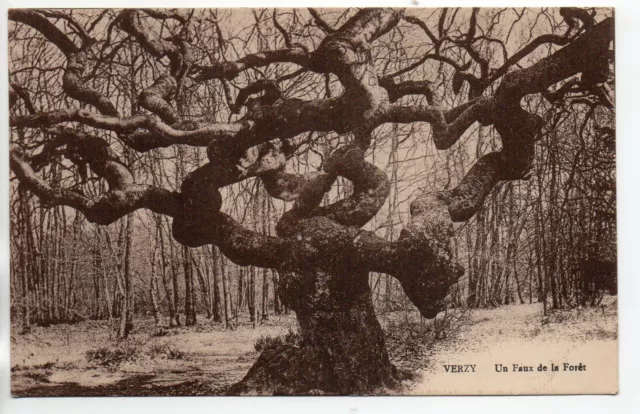 VERZY - Marne - CPA 51 - Tree - Curiosity - a fake in the forest 6