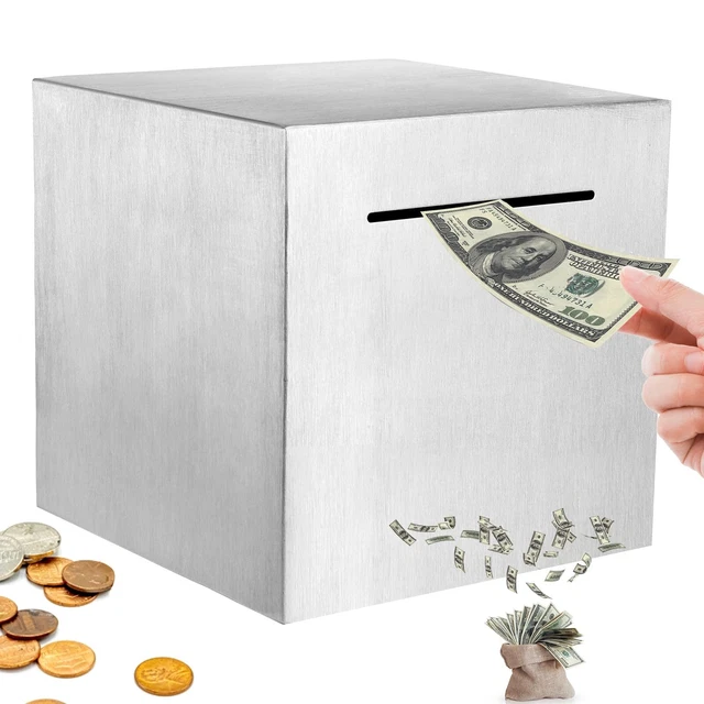 Piggy Bank for Adults, Stainless Steel Savings Bank to Help Budget and...