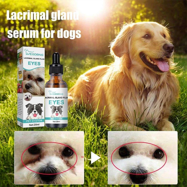 Gocce per occhi per animali domestici Gocce per cataratta da 20 ml per gocce lu-