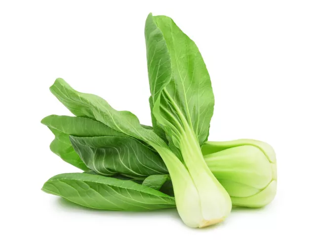 1000 Samen Babyleaf Pak Choi White schnellwachsender knackiger Weißkohl Senfkohl