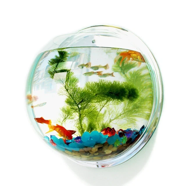 Transparent Clear Round Aquarium Fish Super Bowl Wall Hanging Betta Gold Fish