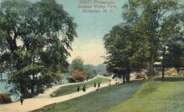 Aerial View Promenade Genesee Valley Park Rochester New York 1912 Postcard