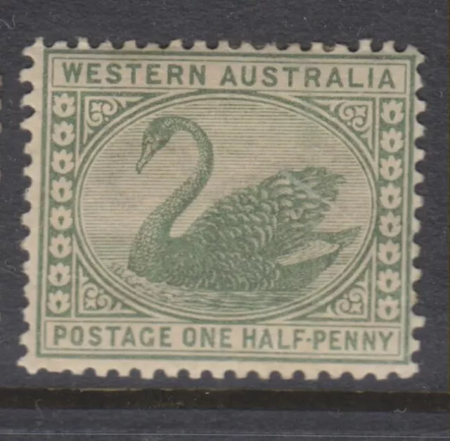 1885-1893 - WESTERN AUSTRALIA - MINT ½d. GREEN SWAN - P14 - SG 94A - W754A