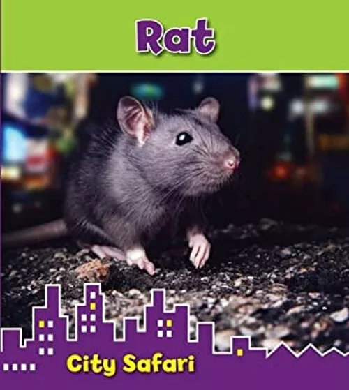 Rat: City Safari Taschenbuch Isabel Thomas,