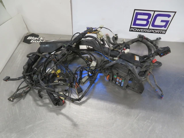 Eb1125 2009 Harley Davidson Street Glide Flhx Main Electrical Wiring Harness