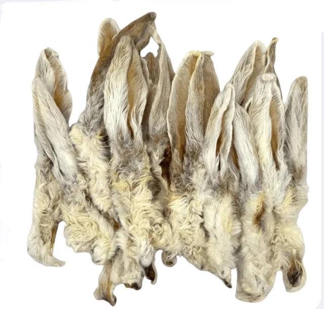 1KG RABBIT EARS Natural Dog Treat, Healthy Low Fat Air Dried Chew, 50 ...