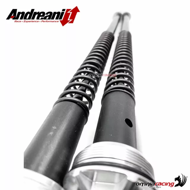 Andreani Misano Evo adjustable hydraulic cartridges for forks FASTACE 37 3