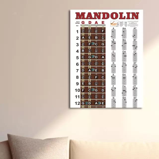 Poster mit Mandolinenakkorden und Griffdiagrammen für die Mandolinentechnik