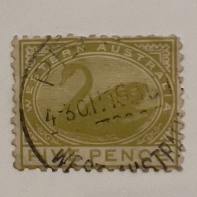 1905 1909 WESTERN AUSTRALIA SWAN STAMP 5d WITH PERTH SOTN SON CANCEL