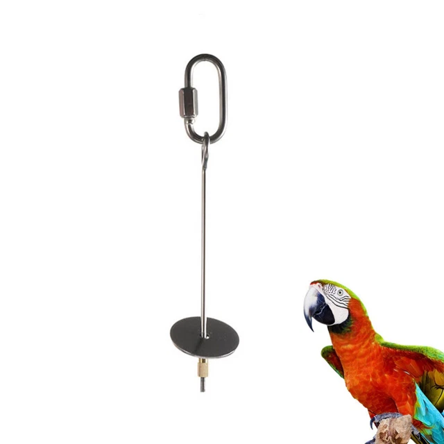 3 Pieces Bird Bite Toy Cat Dog Toys Chew