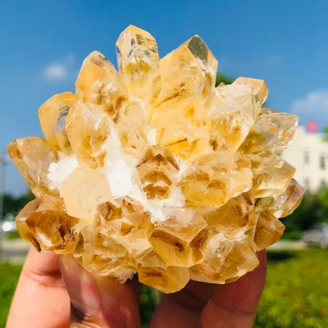 New Find Yellow Phantom Quartz Crystal Cluster Mineral Specimen Healing 2