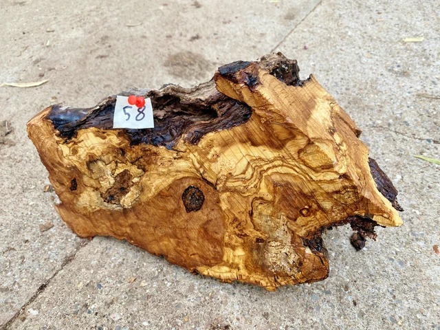 Olivenholz, Olive, Holz zum Basteln, Schnitzen, Drechseln, 2,4 kg