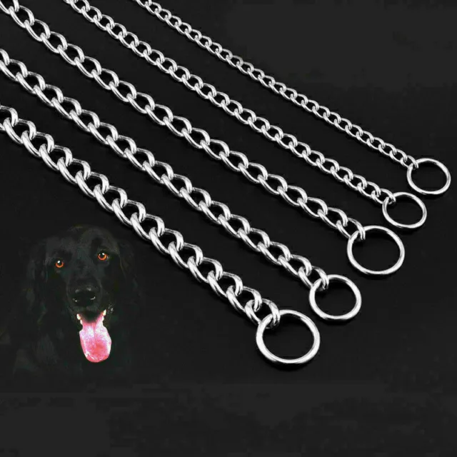 P Puppy Chain Slip Pet Training Choker Dog Choke Stainless Steel Collar Metal