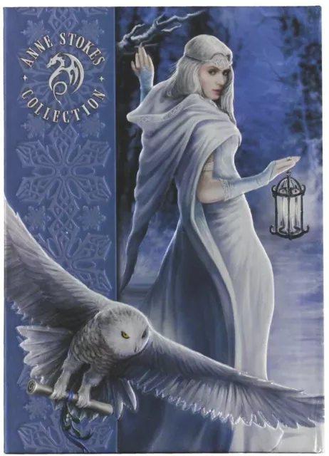 Anne Stokes Silver Owl Midnight Messenger Hard Cover Embossed Collector Journal 2