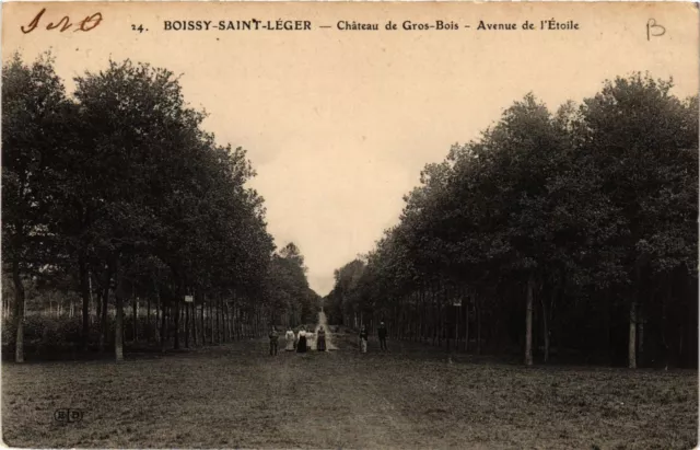 CPA BOISSY-St-LIGHT - Chateau de Gros-WOOD - Avenue de l'École (659715)