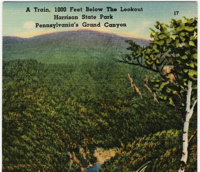 Harrison State Park PA 1952 Lookout A Train Pennsylvania's Grand Canyon Postcard 3