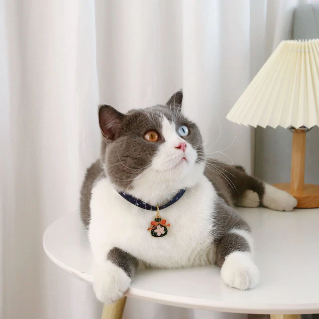 Pet Necklace Buckle Design Dress-up Kitten Dogs Festival Decor Collar with Bell