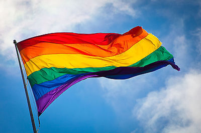 Gay Pride Cnd Pace Piccolo Mano Bandiera Sventolante CND Arcobaleno Lgbtq 