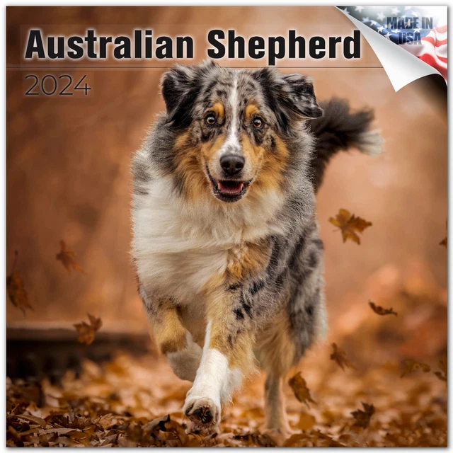 AUSTRALIAN SHEPHERD PREMIUM Wall Calendar 2024 Made In The USA 16 