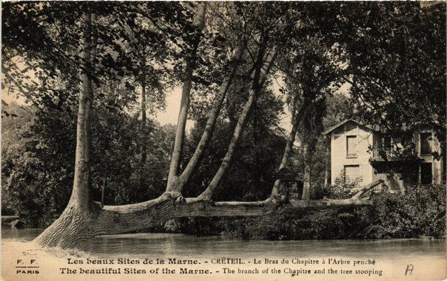 CPA Les Beaux Sites de la Marne CRÉTEIL Bras de Chapitre a l'Arbre (659652)