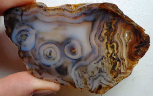 WRG- Montana Agate Slab 50 grams Lapidary Old Stock