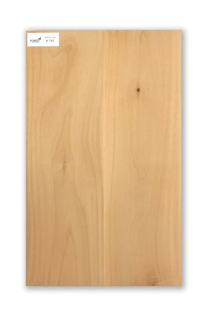 Electric Guitar American Alder 2 Glued Pieces Body Blank #745 -3.8 KG