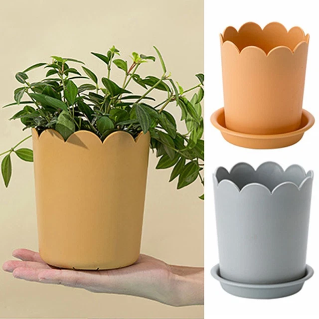 Conteneur d'usine Planteur Boîte succulente Pot de Plante Pots de fleurs