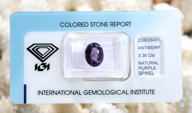 Spinelle violette - Ovale - Certifiée IGI - 3.36 carats - Thaïlande