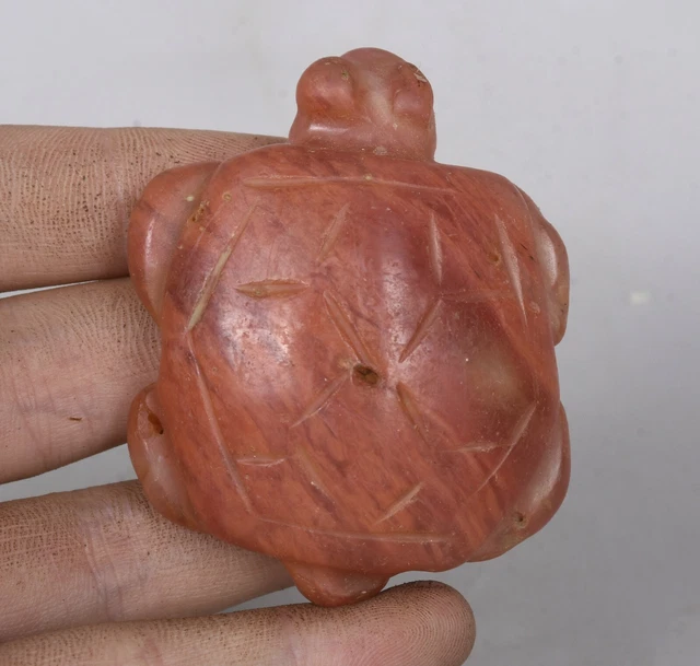 2.4" China Neolithic Hongshan Culture Old Red Crystal Carved tortoise Pendant